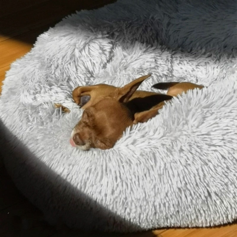 Macaron Dog Bed