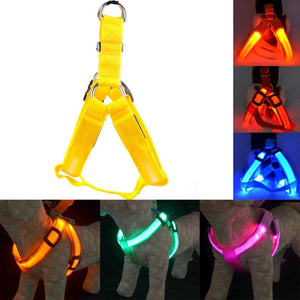 Rechargeable LED Harness