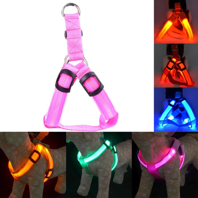 Rechargeable LED Harness